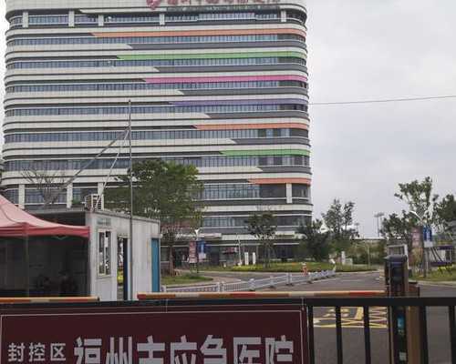 山东代怀一键咨询,山东试管婴儿补助政策有吗?