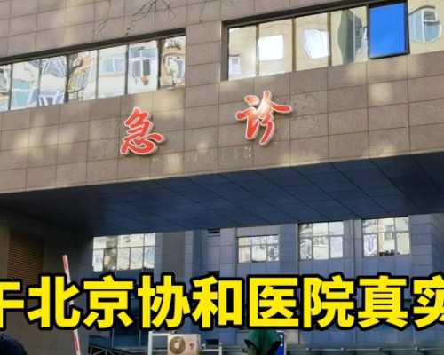 山东代孕包成功案例,山东试管能选性别吗？去山东做试管能不能生男孩？